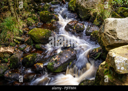 Un affluent de la rivière Wharfe dans le North Yorkshire, UK. Un ruisseau avec de l'eau tombant sur les rochers. Banque D'Images