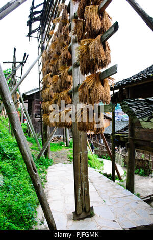 Basha Village Miao dernière cérémonie,tireur danseurs costumés,Peuples Miao,vieux fusils,Guizhou,Chine, République populaire de Chine, Chine Banque D'Images