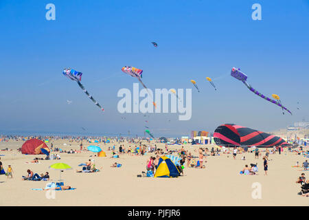 Berck-sur-Mer (nord de la France) : Berck International du cerf-volant. Cerfs-volants dans le ciel et les touristes sur la plage en profitant du soleil Banque D'Images