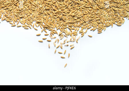 Vue de dessus le riz et les semences de riz sur le fond blanc, l'arrière-plan et le papier peint par tas de semences de riz paddy, Close-up de grains de riz brun. Banque D'Images