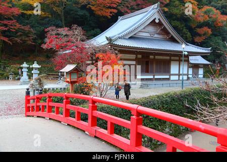 Le JAPON, MINOO - 22 NOVEMBRE 2016 : les visiteurs à l'ère Meiji no Mori Mino Parc Quasi-National près d'Osaka, au Japon. Le parc est connu pour ses spectaculaires de l'automne Banque D'Images