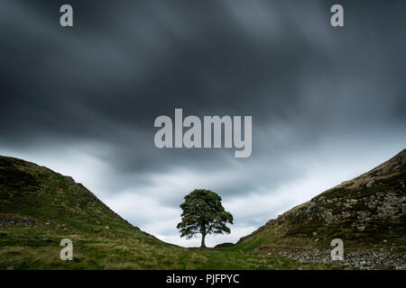 Une longue exposition coups de Sycamore Gap en mur d'Hadrien, Pays, Northumberland, England Banque D'Images