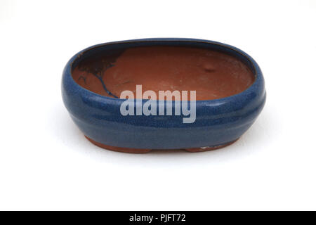 Bonsaï Arbre Base poterie Bleu Banque D'Images