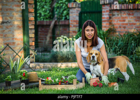 Mid age femme avec son chien faire certains jardinage au jardin Banque D'Images