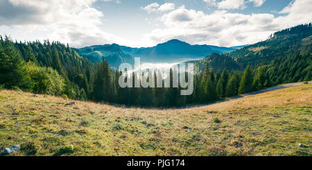 Panorama de montagne et vallée brumeuse. beau paysage et forêt de sapins sur la colline. temps magnifique dans le Parc Naturel Apuseni de Roumanie à Sun Banque D'Images