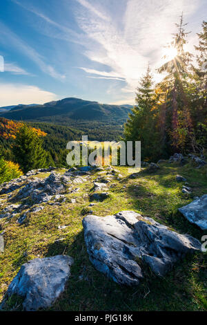 Falaise rocheuse au-dessus de la vallée boisée. beau lever du soleil en automne paysage montagneux. Banque D'Images