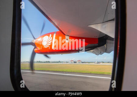 Vol commercial de l'aéroport de Denpasar à Bali, Indonésie, Papouasie-Nouvelle-Guinée Banque D'Images