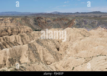 Zhabyr jaune dans le Canyon du parc national dans le Canyon Auezov région du Kazakhstan Almaty Banque D'Images