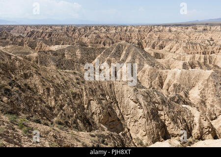 Zhabyr jaune dans le Canyon du parc national dans le Canyon Auezov région du Kazakhstan Almaty Banque D'Images