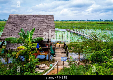 Une passerelle à travers le champ de lotus au Cambodge ferme près de Siem Reap. Banque D'Images