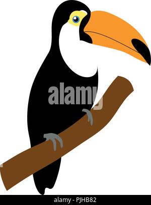 Vecteur, toucan exotique assis sur la branche isolé sur blanc. Les oiseaux tropicaux a un beau gros bec orange. Illustration de Vecteur