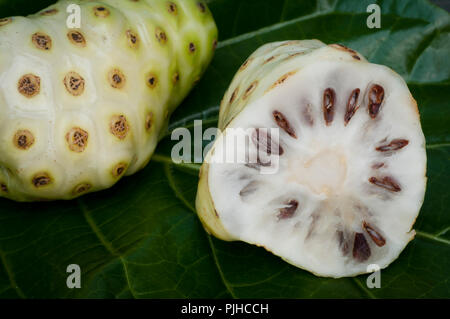 Noni Banque D'Images