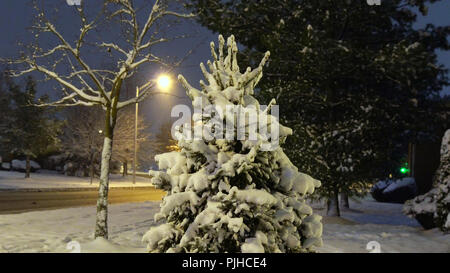 Snowy city park à la lumière des lanternes le soir. Arbres couverts de neige et de bancs,sentier dans un fabuleux parc de nuit d'hiver.paysage d'hiver Winter Night Banque D'Images