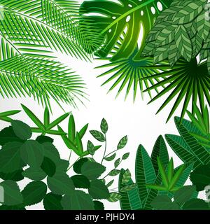 Cadre fait de feuilles sur un fond blanc. Vector floral tropical Jungle frontière. Illustration de Vecteur