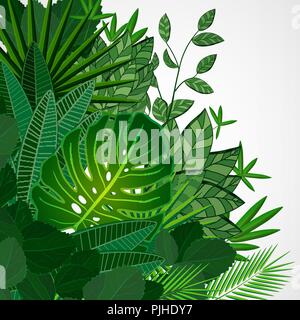 Cadre fait de feuilles sur un fond blanc. Vector floral tropical Jungle frontière. Illustration de Vecteur