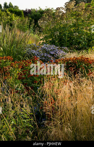 Une combinaison de plantes vivaces et graminées ornementales dans un grand jardin Banque D'Images