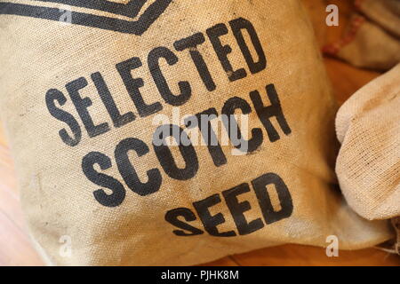 Travaux publics verdoyants, un moulin restauré montrant les étapes de la section locale 19ème-20ème siècle la production de jute, une industrie énorme à Dundee, en Ecosse, Royaume-Uni, Tayside Banque D'Images