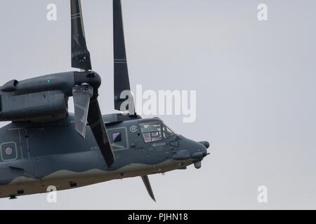 US Air Force annonce-22B Balbuzard, RIAT, RAF Fairford, UK Banque D'Images