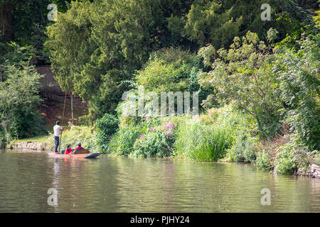 Stratford Upon Avon, Warwickshire, Angleterre Royaume-uni 23 août punt sur la rivière avec beatuiful arbres en arrière-plan dans le milieu de l'été Banque D'Images