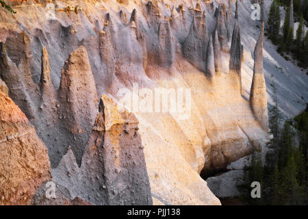 L'aube sur le pré des bougies de pierre ponce volcanique dominant spires savent comme les pinacles le long du ruisseau de l'Oregon's Wheeler Crater Lake National Park. Banque D'Images
