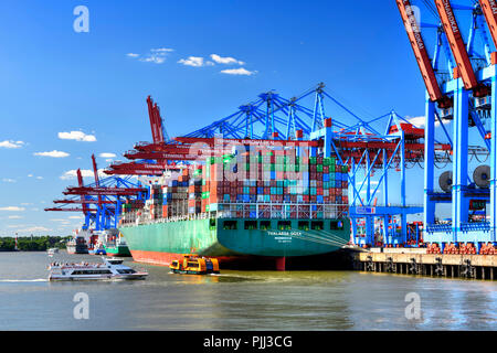 L'enveloppe contenant le Waltershofer au port de Hambourg, Allemagne, Europe, Containerumschlag Waltershofer im Hafen in Hamburg, Deutschland, Europa Banque D'Images