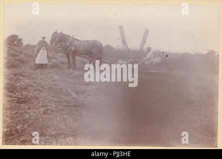 Carte du Cabinet victorien d'une scène d'Agriculture. Un homme à l'aide de machines agricoles a cheval Banque D'Images