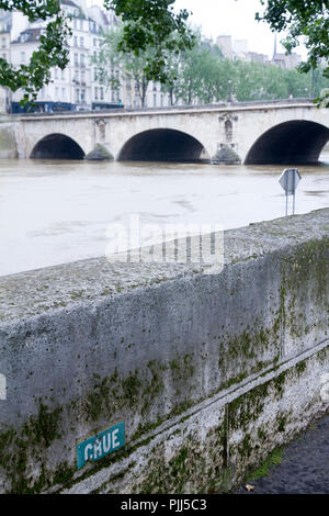 France, Paris, Seine River flood (2 juin 2016) Banque D'Images