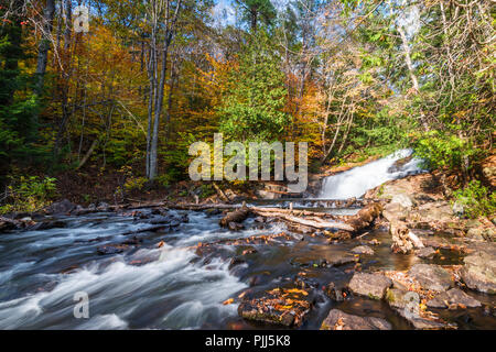 Audit Établissement Falls à Muskoka, Ontario, Canada, entouré par la forêt, l'eau dégringole au-dessus des chutes, puis en cascade sur les rochers et lo Banque D'Images