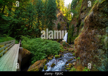 La randonnée le long de Tanner Creek pour wahclella Falls dans la gorge du Columbia. Banque D'Images