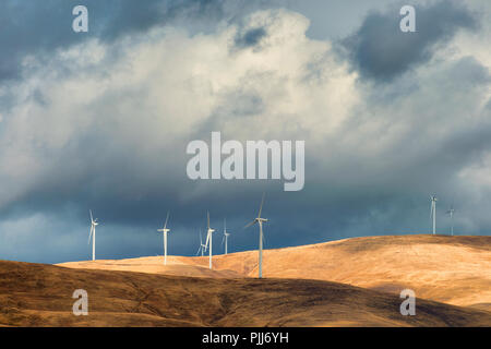 Les éoliennes sont en contraste avec les sombres nuages sur les collines près de Biggs Junction dans la gorge du Columbia. Banque D'Images