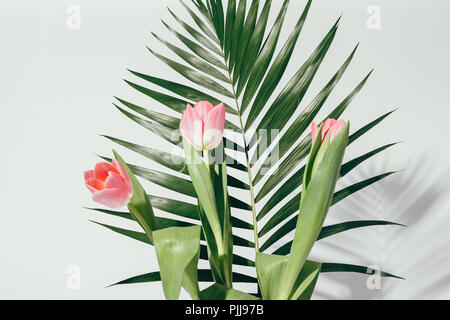 Bouquet Frais de trois tulipes roses avec branche de palmier sur mur blanc background, close-up. Un minimum de composition florale. Banque D'Images