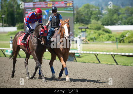 Poney de compagnie avec le jockey et son cheval de course, quelques minutes avant la course. Parc Hastings Vancouver City. Banque D'Images