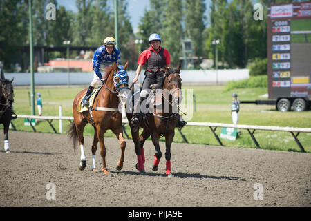 Poney de compagnie avec le jockey et son cheval de course, quelques minutes avant la course. Parc Hastings Vancouver City. Banque D'Images