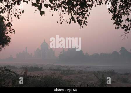 Taj Mahal la merveille du monde et la fierté de l'Inde en hiver, tôt le matin, une lumière chaude et la brume avec un lit à sec de la rivière Yamuna dans l'avant-plan Banque D'Images