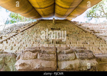 Une vue typique dans les ruines de Copan au Honduras Banque D'Images