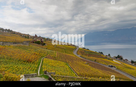 Les vignes d'or. Belle vue sur les vignes du Lavaux, région, ciel nuageux scape, partie d'Alpes et le lac Léman sur l'arrière-plan. Le Canton de Vaud, Suisse Banque D'Images