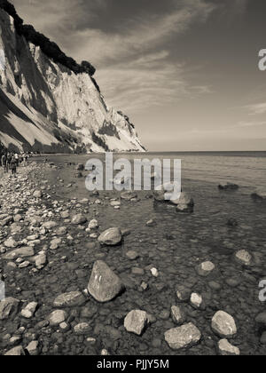 Møns Klint, célèbres falaises de craie, île de Mons, le Danemark, l'Europe. Banque D'Images