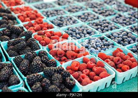 Lignes colorées de mûres, framboises et bleuets à un marché de fermiers stall Banque D'Images