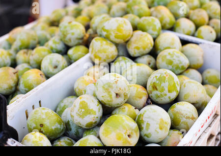 Cartons pleins de prunes vert à un décrochage dans le farmers market Banque D'Images