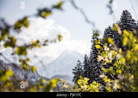 La transition entre l'hiver et au printemps à Lech river dans la région de l'Allgäu Banque D'Images