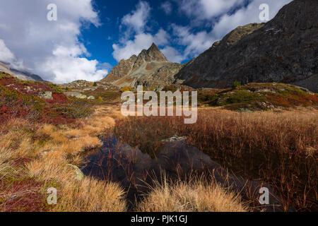 L'automne à 2300 mètres au-dessus du niveau de la mer, à la Crap Alv Laiets sur le Col d'Albula, canton des Grisons, Suisse Banque D'Images