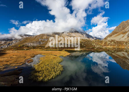 L'automne à 2300 mètres au-dessus du niveau de la mer, à la Crap Alv Laiets sur le Col d'Albula, canton des Grisons, Suisse Banque D'Images