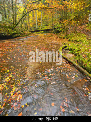 Allemagne, Bade-Wurtemberg, Swabian-Franconian Forêt, Près de Backnang, motif de feuilles d'automne dans le ventre, le petit pont de bois Banque D'Images