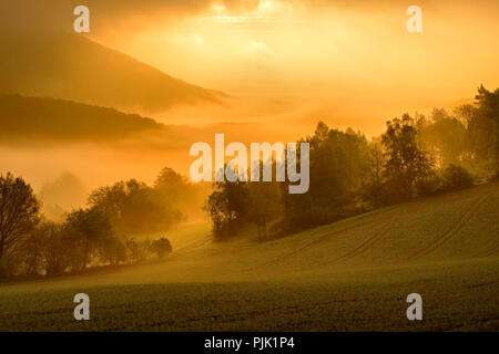 Allemagne, Hesse, Gellershausen, parc Kellerwald-Edersee, paysage avec brume du matin au lever du soleil Banque D'Images