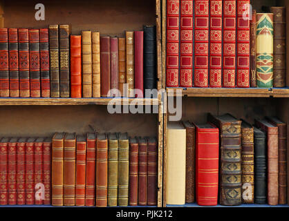 Livres médiévaux dans les bibliothèques en bois Banque D'Images