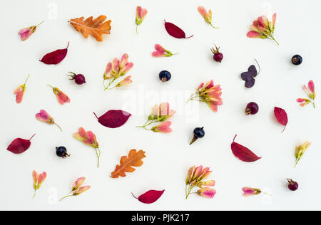 Automne nature télévision réside dans des tons violet, sur fond blanc de toile. Banque D'Images