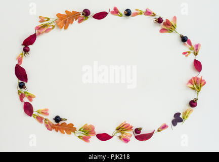 Automne nature cadre dans des tons violet, avec copie espace, sur fond de toile blanche. Banque D'Images