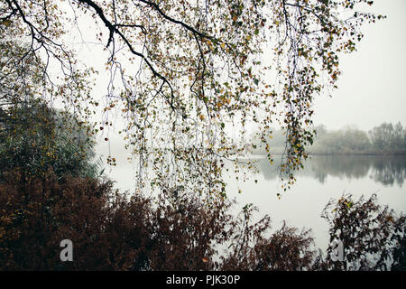 Une randonnée autour de l'Obersee à Bielefeld (Schildesche) sur un jour gris et brumeux en octobre, Banque D'Images