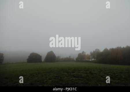 Une randonnée autour de l'Obersee à Bielefeld (Schildesche) sur un jour gris et brumeux en octobre, Banque D'Images