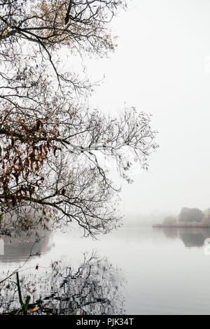 Une randonnée autour de l'Obersee à Bielefeld (Schildesche) sur un jour gris et brumeux en octobre, Banque D'Images